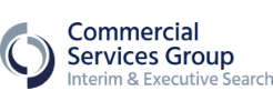 CSG Interim & Executive Search